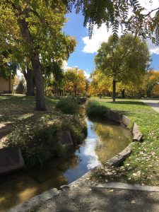 The canals that run through Wash Park are a popular place for children to wade and catch crawdads. Image courtesy Tara Bardeen