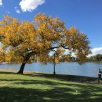 Neighborhood Ties: Washington Park