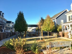 One of the shared green spaces in Stapleton known as a "muse." Image: Tara Bardeen